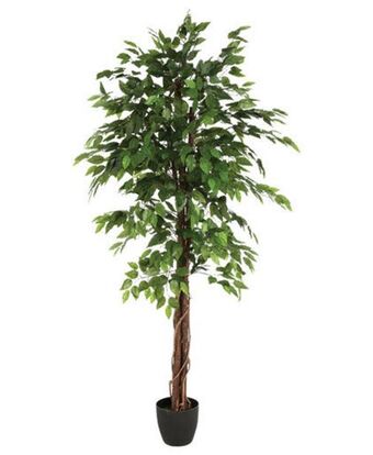 Hôma Planta artificial ficus com vaso 180cm promoção
