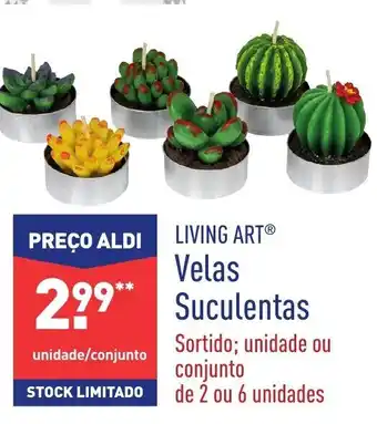 ALDI Velas Suculentas promoção