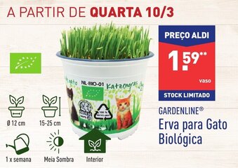 ALDI Gardenline Erva para Gato Biológica promoção