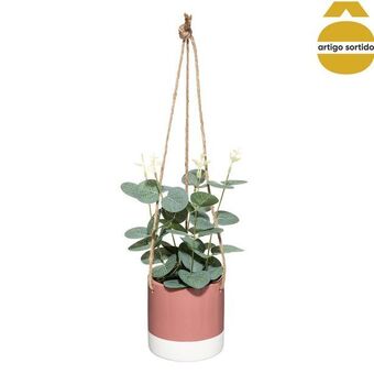 Hôma Vaso suspenso em cerâmica com eucalipto promoção