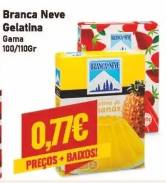 Branca Neve Gelatina 100/110g