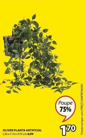 Plantas