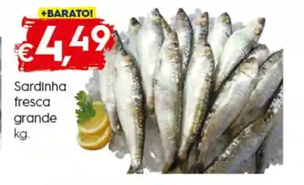 Bolama Sardinha fresca grande 1kg promoção