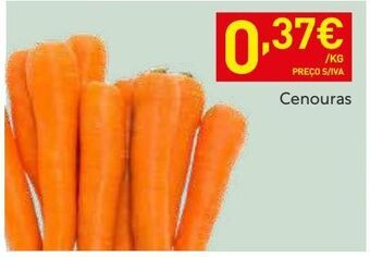 Recheio Cenouras promoção