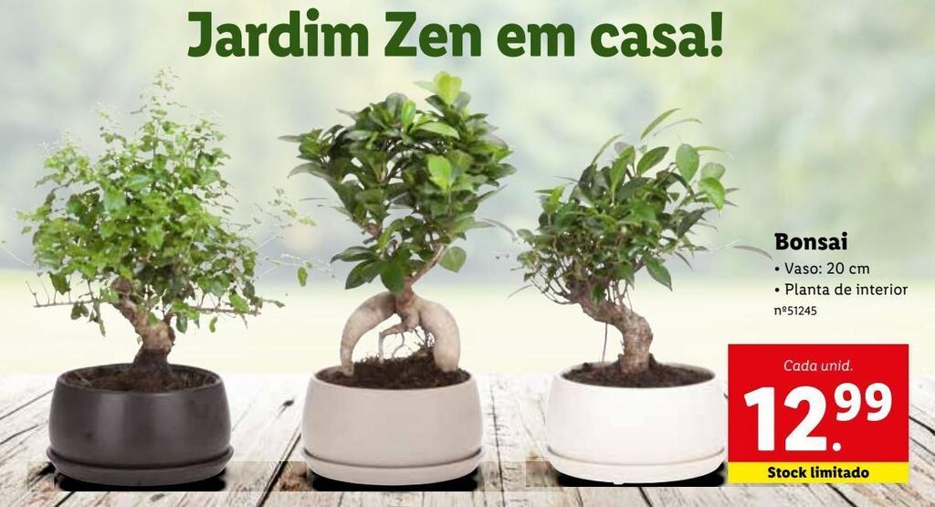 Promoção Bonsai em Lidl