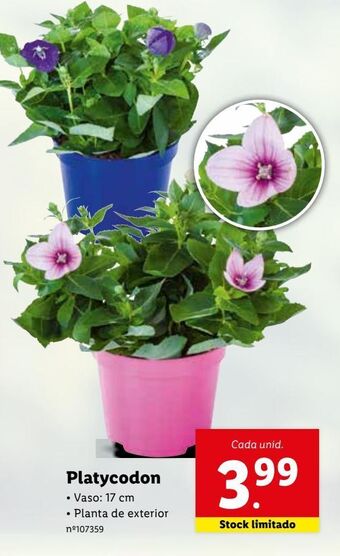 Plantas com flores