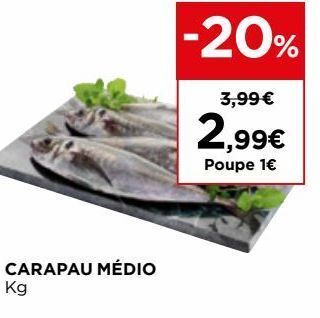 El Corte Inglés Peixe promoção