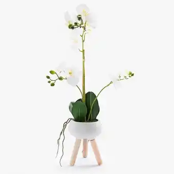 VIVA Orquídea vaso com pé a.60cm promoção