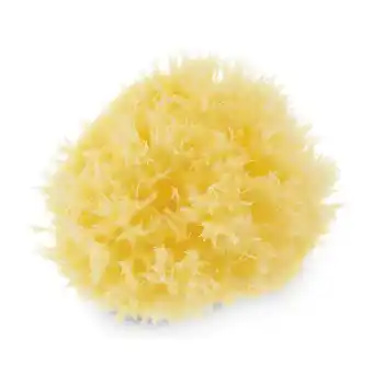 Pingo Doce Esponja marinha natural neo baby promoção