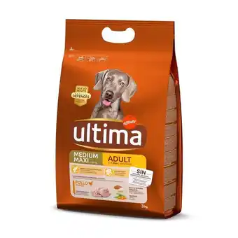 Pingo Doce Ração seca para cão adulto médio/maxi sabor frango ultima promoção