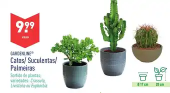 ALDI Gardenline Catos/ Suculentas/ Palmeiras promoção