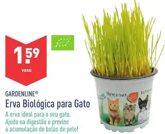 ALDI Gardenline Erva Biológico pra Gato promoção