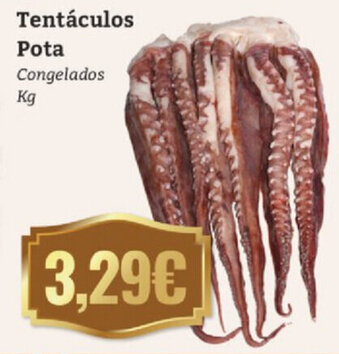 Tentáculos Pota
