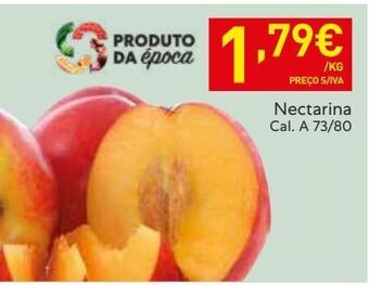 Recheio Nectarina promoção