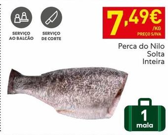Recheio Filé de peixe promoção