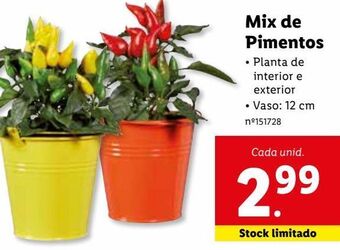 Lidl Pimenta promoção