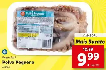 Lidl Polvo congelado ocean sea promoção