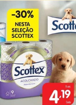 Papel toalha scottex