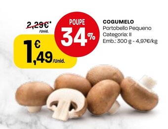 Cogumelo