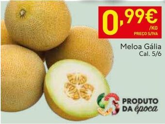 Recheio Melão promoção