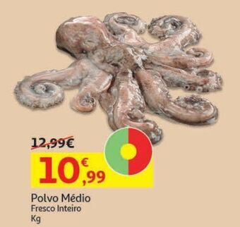 Auchan Polvo medio:fresco inteiro kg promoção