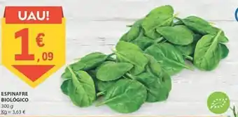 E.Leclerc Espinafre promoção