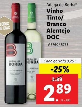 Vinhos adega de borba