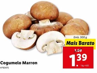 Lidl Cogumelos promoção