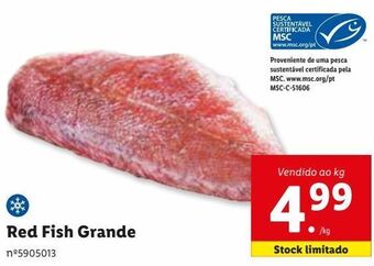 Lidl Peixe congelado promoção