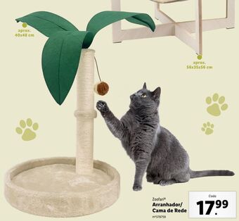 Lidl Arranhador promoção