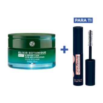 Creme recuperador de noite
