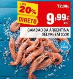 Continente Gambão da Argentina Selvagem 20/30 promoção