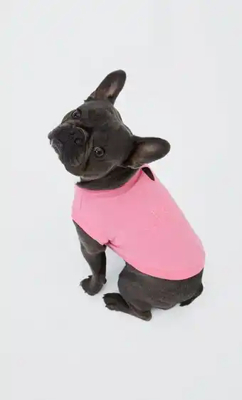T-shirt animais de estimação bordado