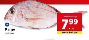 Lidl Pargo promoção