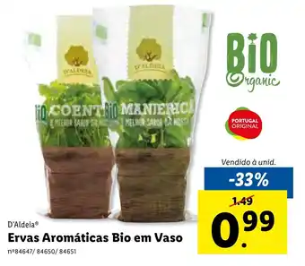 Lidl Ervas Aromáticas Bio em Vaso promoção