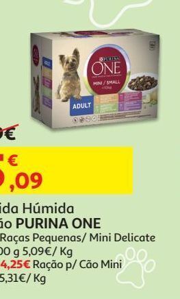 Auchan Ração cão purina one promoção