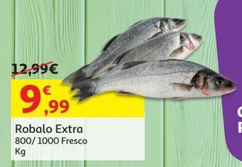 Auchan Robalo extra:800/1000 fresco kg promoção