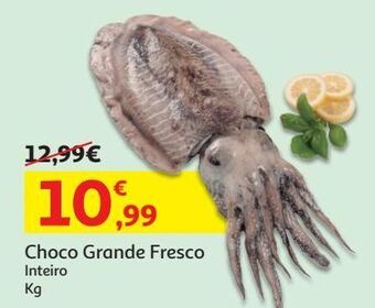 Auchan Choco grande fresco:inteiro kg promoção