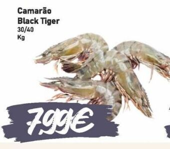 Belita Camarão promoção