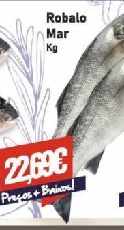 Belita Robalo promoção