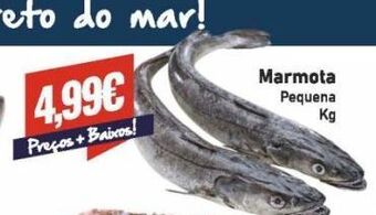 Belita Peixe promoção