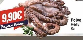 Belita Polvo promoção