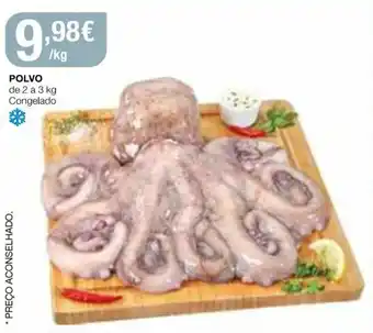 Intermarché Polvo de 2 a 3kg Congelado promoção
