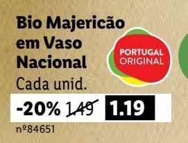 Lidl Manjericão promoção