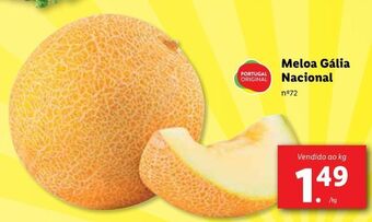Lidl Melão promoção