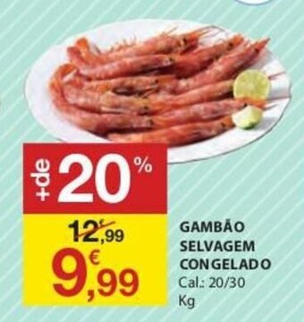 E.Leclerc Gambão Selvagem Congelado 20/30 promoção