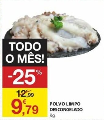 E.Leclerc Polvo Limpo Descongelado promoção