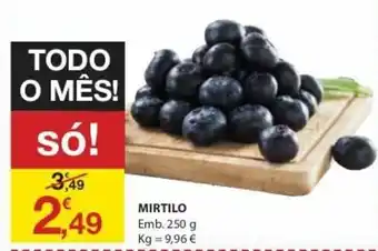 E.Leclerc Mirtilos 250g promoção