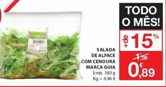 Salada de Alface com Cenoura Marca Guia 180g