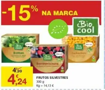 Frutos Silvestres 300g